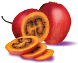 Tamarillo flavor