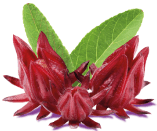 Roselle flavor