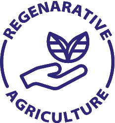 Fruit tea agriculture origins