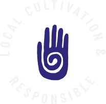 Eco feature icon 1
